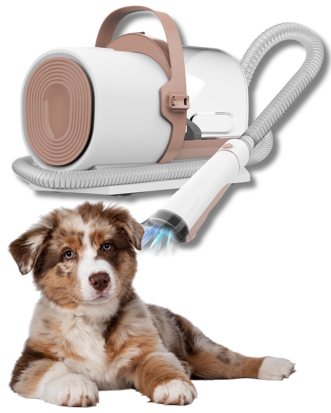 DOGGY GROOMER.png__PID:117a534d-d79b-40e3-90a9-58294556a5d7